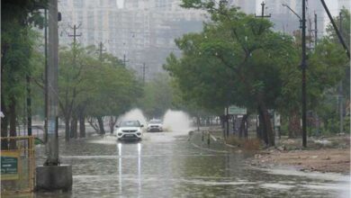 आंगनबाड़ियों की व्यवस्था और कुपोषण उन्मूलन पर ध्यान दें अधिकारी: मंत्री श्रीमती राजवाड़े…. आंगनबाड़ियों की व्यवस्था और कुपोषण उन्मूलन पर ध्यान दें अधिकारी: मंत्री श्रीमती राजवाड़े….