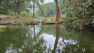 बारिश में बस्तर के प्राकृतिक सौंदर्य का अनुपम नजारा बारिश में बस्तर के प्राकृतिक सौंदर्य का अनुपम नजारा