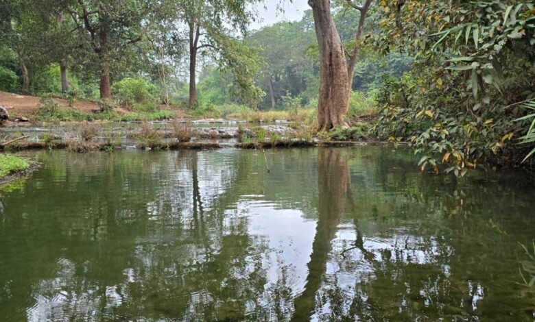 बारिश में बस्तर के प्राकृतिक सौंदर्य का अनुपम नजारा बारिश में बस्तर के प्राकृतिक सौंदर्य का अनुपम नजारा