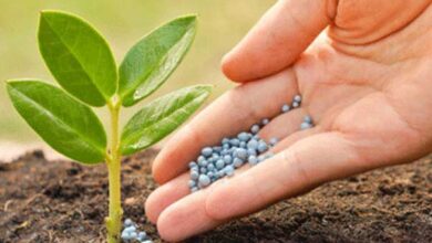 राज्य में खाद-बीज और कीटनाशक औषधियों की गुणवत्ता की जांच जारी