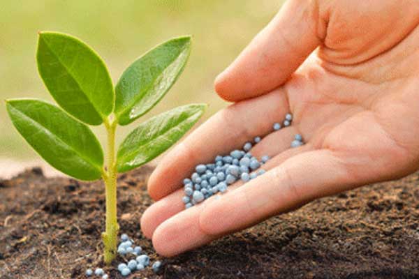 राज्य में खाद-बीज और कीटनाशक औषधियों की गुणवत्ता की जांच जारी