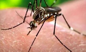 मलेरिया मुक्त छत्तीसगढ़ अभियान की बड़ी उपलब्धि: 61.8% बिना लक्षण वाले मरीजों की समय पर पहचान…. मलेरिया मुक्त छत्तीसगढ़ अभियान की बड़ी उपलब्धि: 61.8% बिना लक्षण वाले मरीजों की समय पर पहचान….