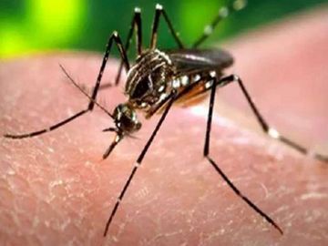 मलेरिया मुक्त छत्तीसगढ़ अभियान की बड़ी उपलब्धि: 61.8% बिना लक्षण वाले मरीजों की समय पर पहचान…. मलेरिया मुक्त छत्तीसगढ़ अभियान की बड़ी उपलब्धि: 61.8% बिना लक्षण वाले मरीजों की समय पर पहचान….