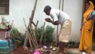 किसानों की समृद्धि और संस्कृति से जुड़ा हरेली पर्व: छत्तीसगढ़ की खेती-किसानी को मिला नया संबल…