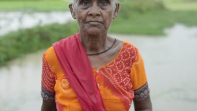 छत्तीसगढ़ सरकार की योजना से वृद्ध महिलाओं को मिला सम्मानजनक जीवन: सूरज बाई के लिए वरदान बनी महतारी वंदन योजना….