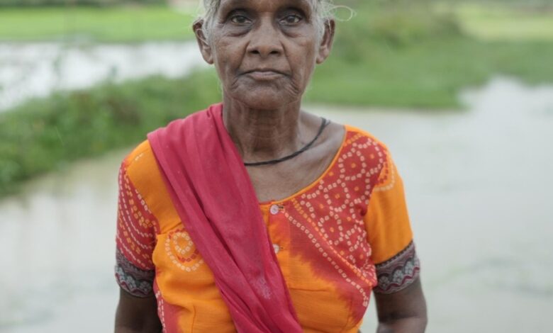 छत्तीसगढ़ सरकार की योजना से वृद्ध महिलाओं को मिला सम्मानजनक जीवन: सूरज बाई के लिए वरदान बनी महतारी वंदन योजना….