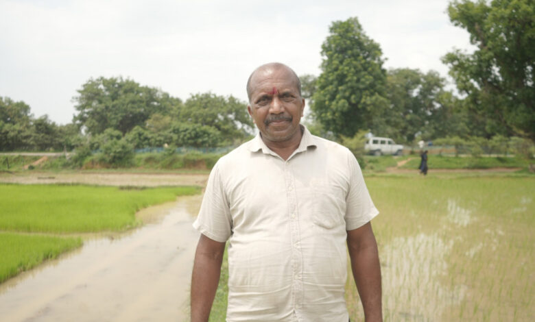 समय पर मिला खाद, खिल उठी उम्मीदें, संतोष की मेहनत में भरेंगे रंग….