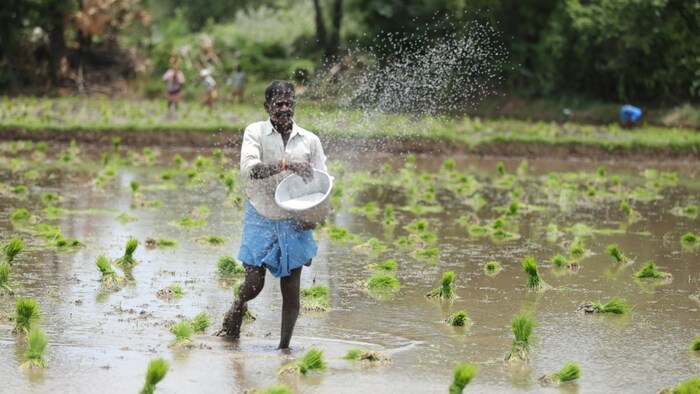प्रधानमंत्री फसल बीमा योजना से कोरिया जिले के किसानों को मिला दावा भुगतान…..