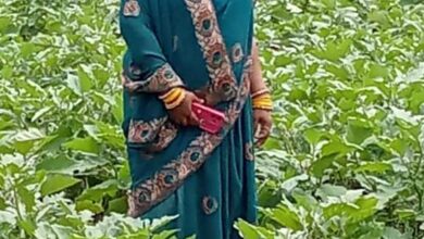 बिहान योजना से अनीता के सपनों को मिली उड़ान….